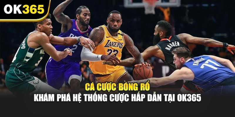 Cá Cược Bóng Rổ - Khám Phá Hệ Thống Cược Hấp Dẫn Tại OK365