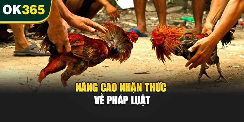 Nâng cao nhận thức về pháp luật