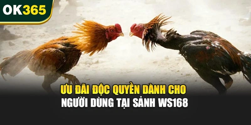 Ưu đãi độc quyền dành cho người dùng tại sảnh WS168